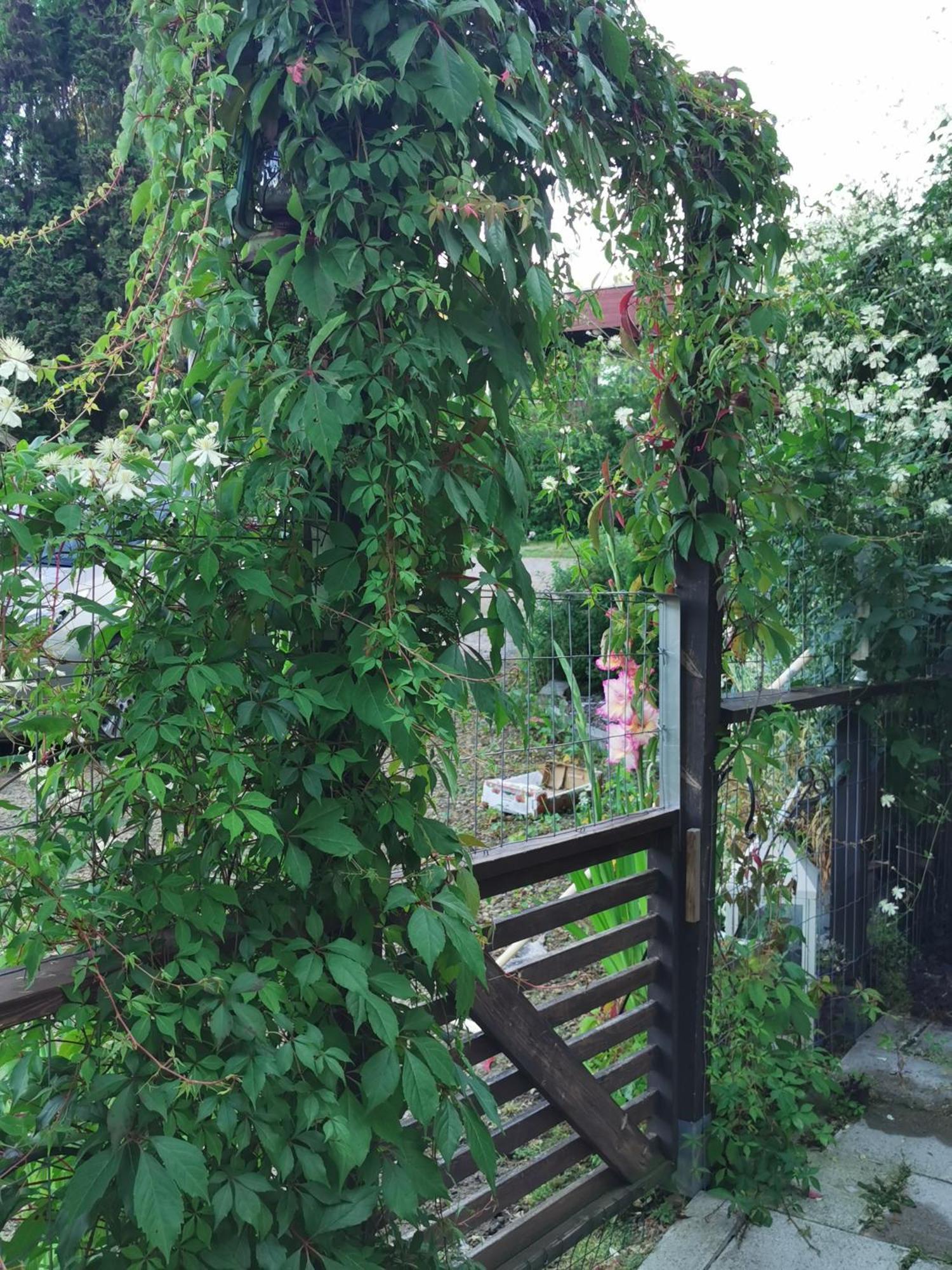 Guesthouse With Sauna Lahti Esterno foto